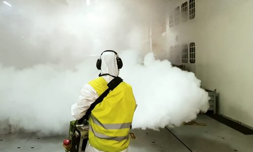 plagas-uy Fumigaciones
