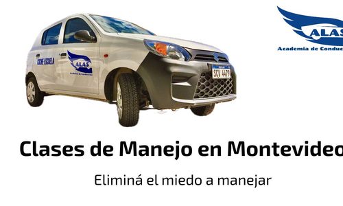 alasacademiadeconduccion-com Academias
